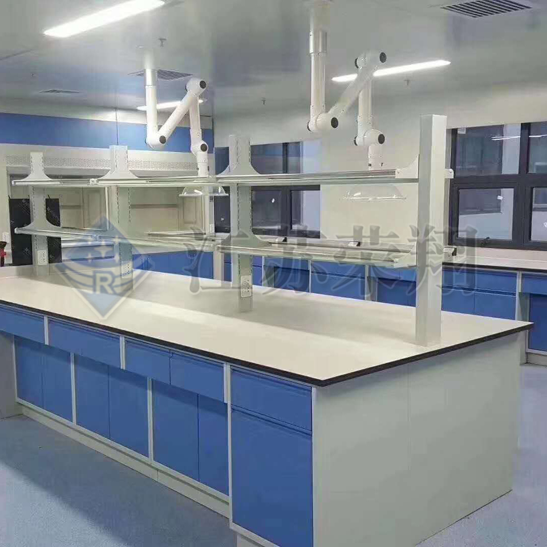 Laboratory clean and purification project